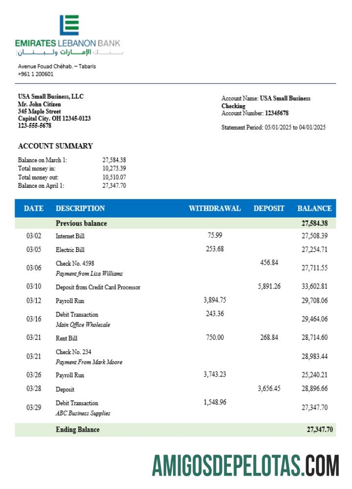 Realista Emirates Organização Libanesa Extrato de Conta Corrente Modelo Word e PDF (1)